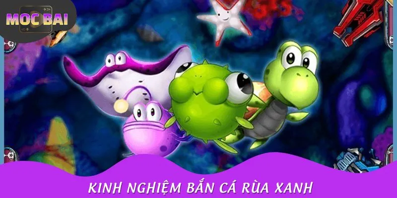 Kinh nghiệm hiệu quả tham gia rùa xanh bắn cá