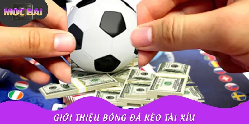 Giới thiệu bóng đá kèo Tài xỉu và cách hoạt động
