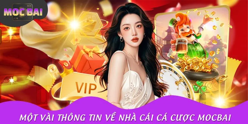 Nhà cái cá cược được nhiều anh em yêu thích bởi chương trình khuyến mãi chào mừng tân thủ