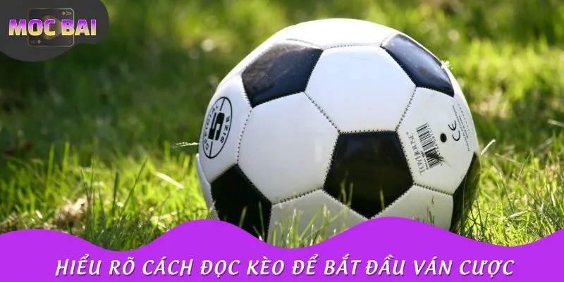 Hiểu rõ cách đọc kèo để bắt đầu ván cược