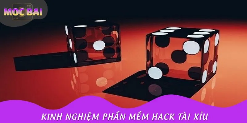 Kinh nghiệm tối ưu hóa hiệu quả sử dụng tool Tài xỉu